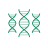 amplicon